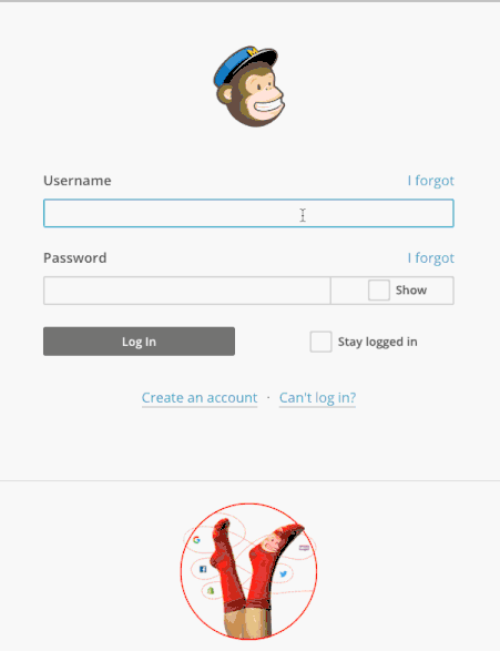 Mailchimp Login